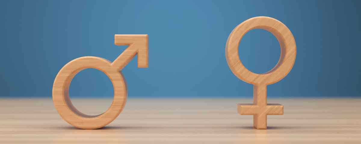 Gender equality in IT development is crucial to the future of the industry and society, driving innovation, improving product quality, filling talent gaps and inspiring future generations.